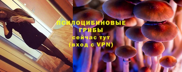 MDMA Елизово