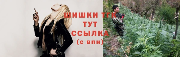 меф Ельня