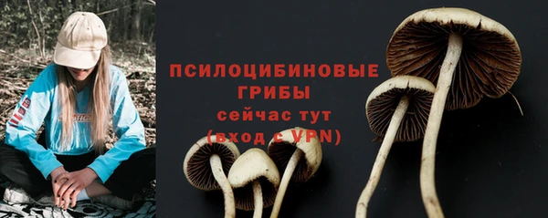 MDMA Елизово