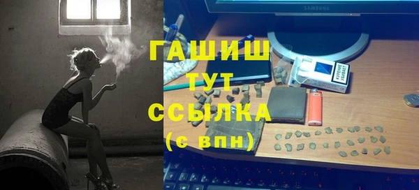 меф Ельня