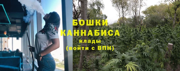 меф Ельня