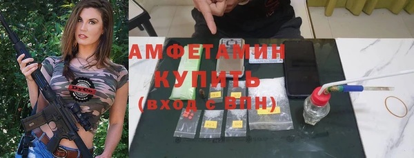 меф Ельня
